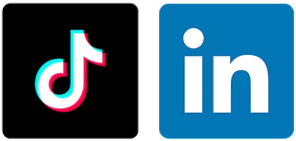 TikTok e LinkedIn Logo